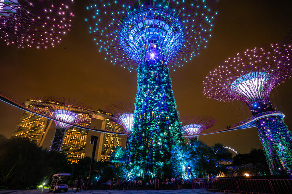 新加坡旅游-滨海湾花园温室：擎天树、灯光秀夜景（图／记者林世文摄）