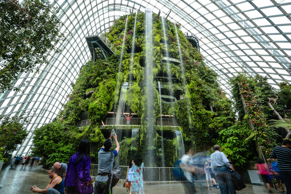 新加坡旅游-滨海湾花园温室：云雾林（图／记者林世文摄）