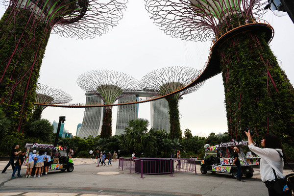 新加坡旅游-滨海湾花园温室：擎天树、灯光秀夜景（图／记者林世文摄）