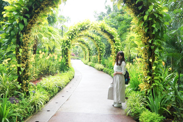 新加坡旅游-新加坡植物园（图／记者林世文摄）