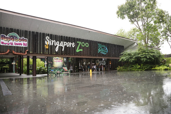 新加坡旅游-新加坡动物园（图／记者林世文摄）