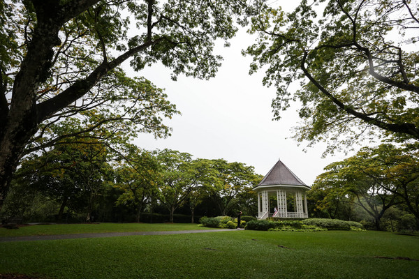 新加坡旅游-新加坡植物园（图／记者林世文摄）