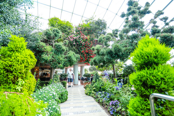 新加坡旅游-滨海湾花园温室：花芎园（图／记者林世文摄）