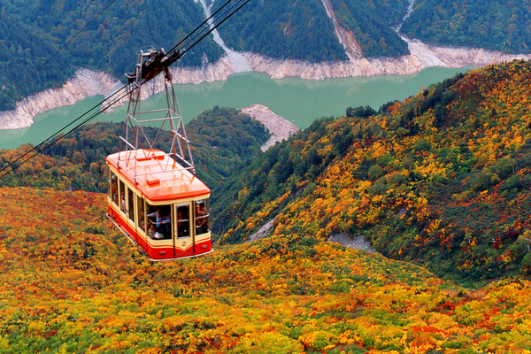 日本秋枫f龙道深V大峡谷赏红叶。（图／翔笙旅游）
