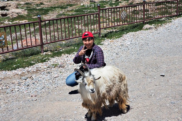 ▲中国西藏旅游。（图／爆肝护士提供）