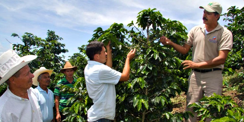 5f4a746842e3d8222b4923bc_honduran-coffee-farmers