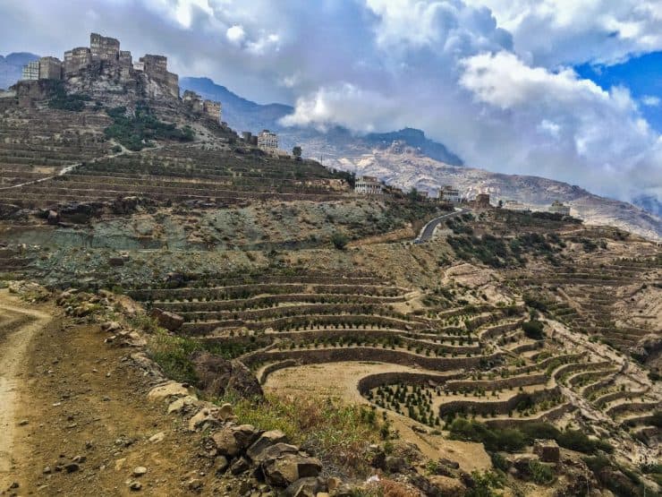 yemen-coffee-mountainside