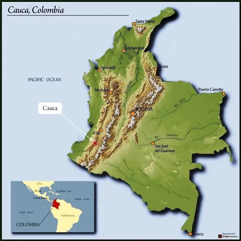 哥伦比亚考卡