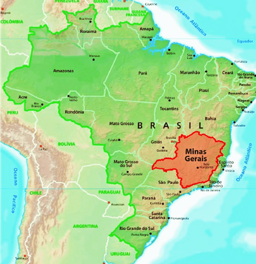巴西波旁南米纳斯产区