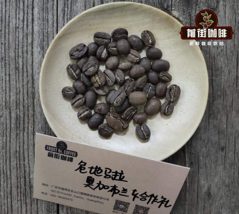 奥加布兰卡合作社咖啡豆