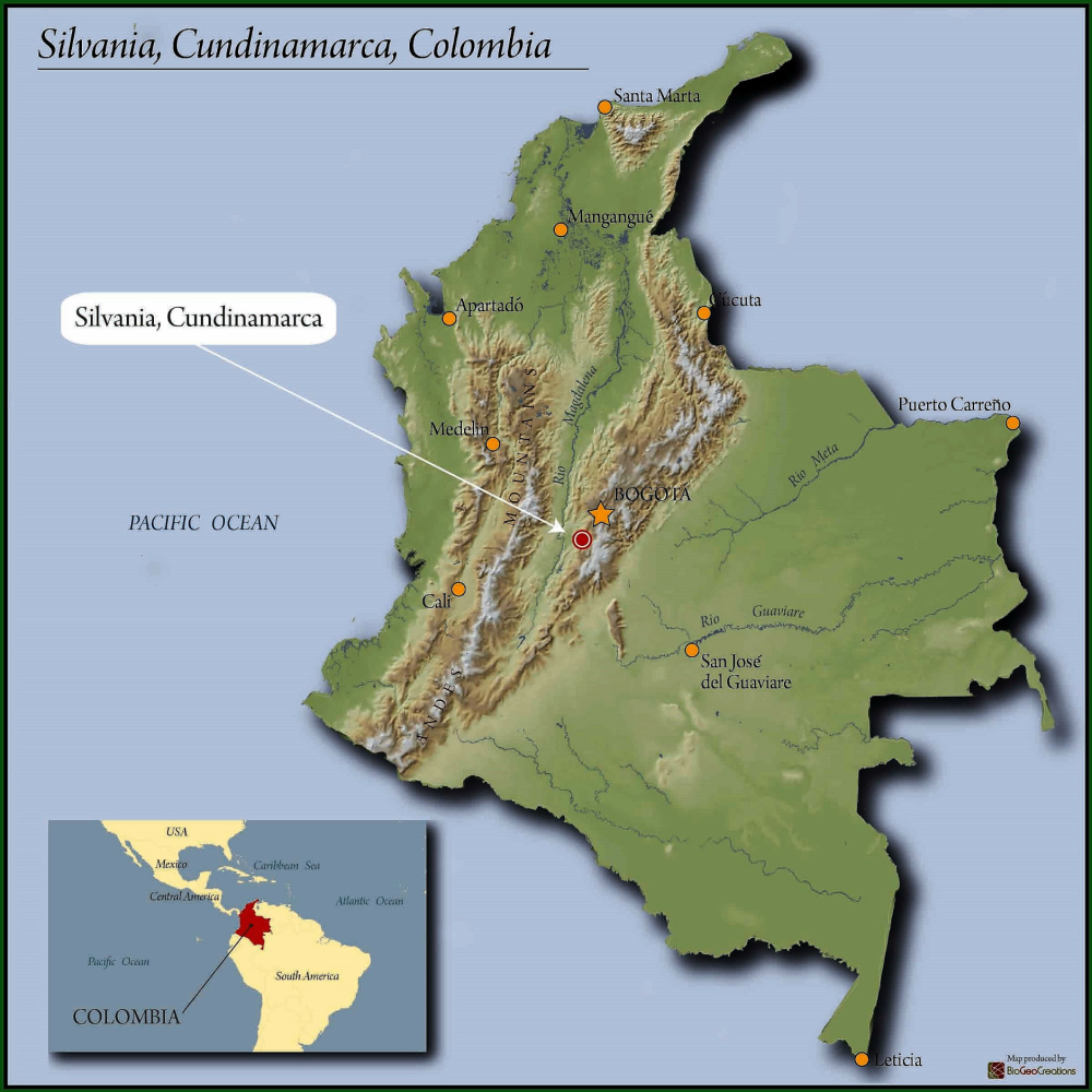 哥伦比亚昆迪纳马卡咖啡豆产区
